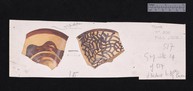 2 drawings of Tomb 517 saucer fragment, part i