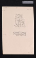 Drawing of ivory palm motifs, 54-304 and 54-305