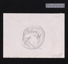 Drawing of seal stone 39-536 with a deer