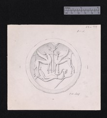 Drawing of seal stone 53-99 with 2 griffins