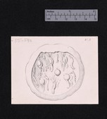 Drawing of seal stone 55-572 with 6 rams&#39; heads