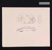 Drawing of 3 views of clay stopper 54-814 with a sealing of a quadruped
