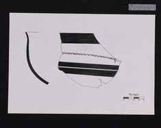 Drawing of PCE sherd 50-559