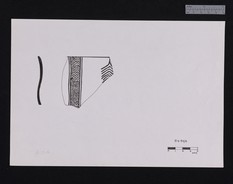 Drawing of House of Oil Merchant sherd 54-543