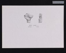 Drawing of terracotta Protophi figurine 39-389