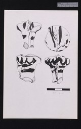 Drawing of terracotta polos head 59-510