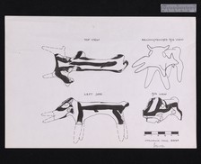 Drawing of terracotta animal figurine from Asine