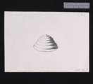Drawing of gold beehive ornament 39-539