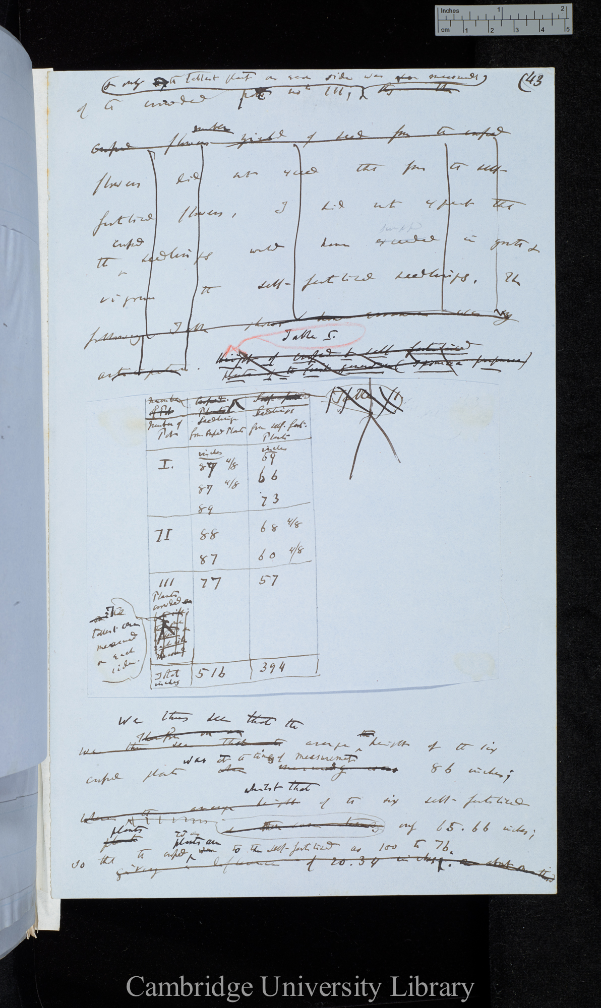 Ms p 43 (with Table 1)