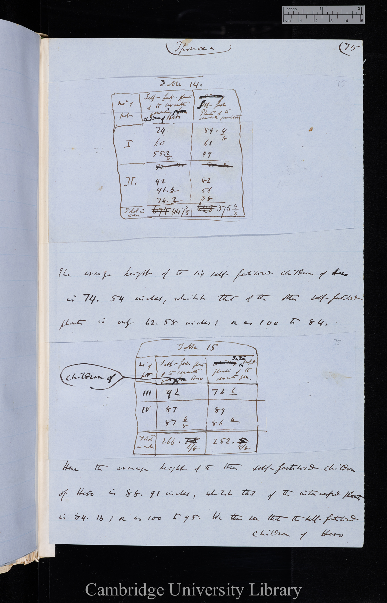 Ms p 75 (with inserts - Tables 14 &amp; 15)