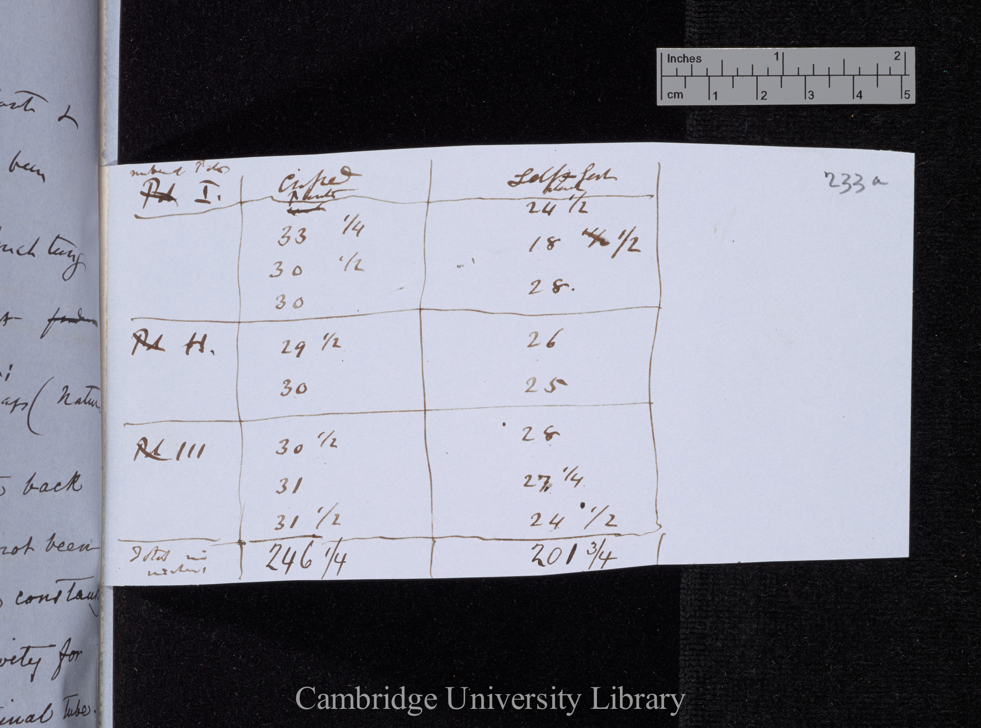 Table [unnumbered] to Ms p 233