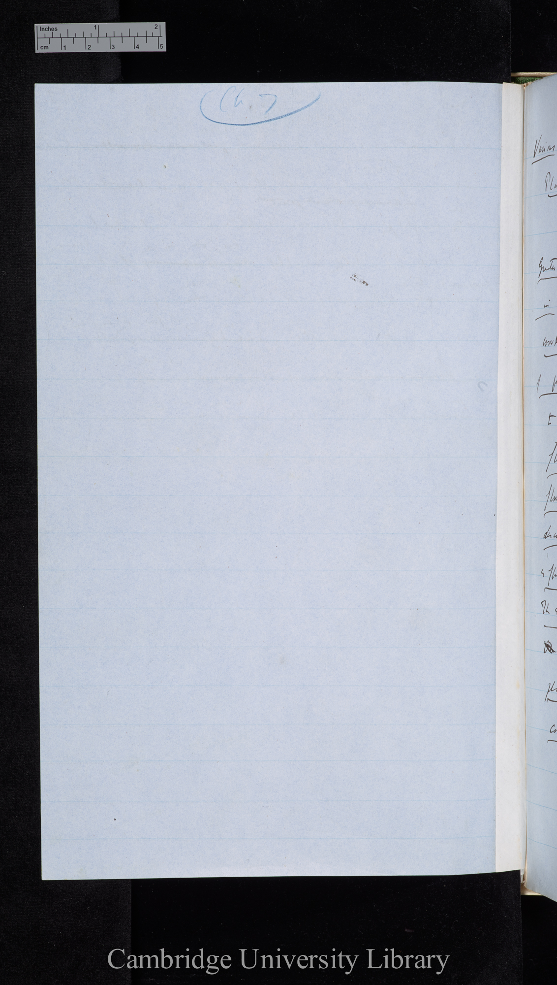 verso of Ms p 439