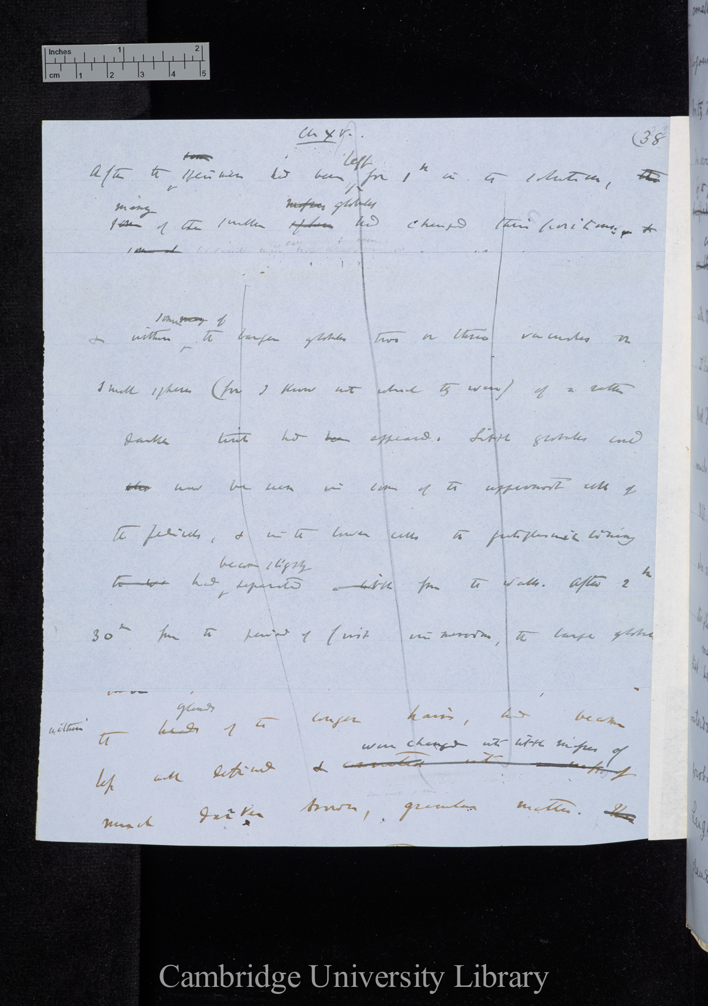 [draft of?, Ms p 38]