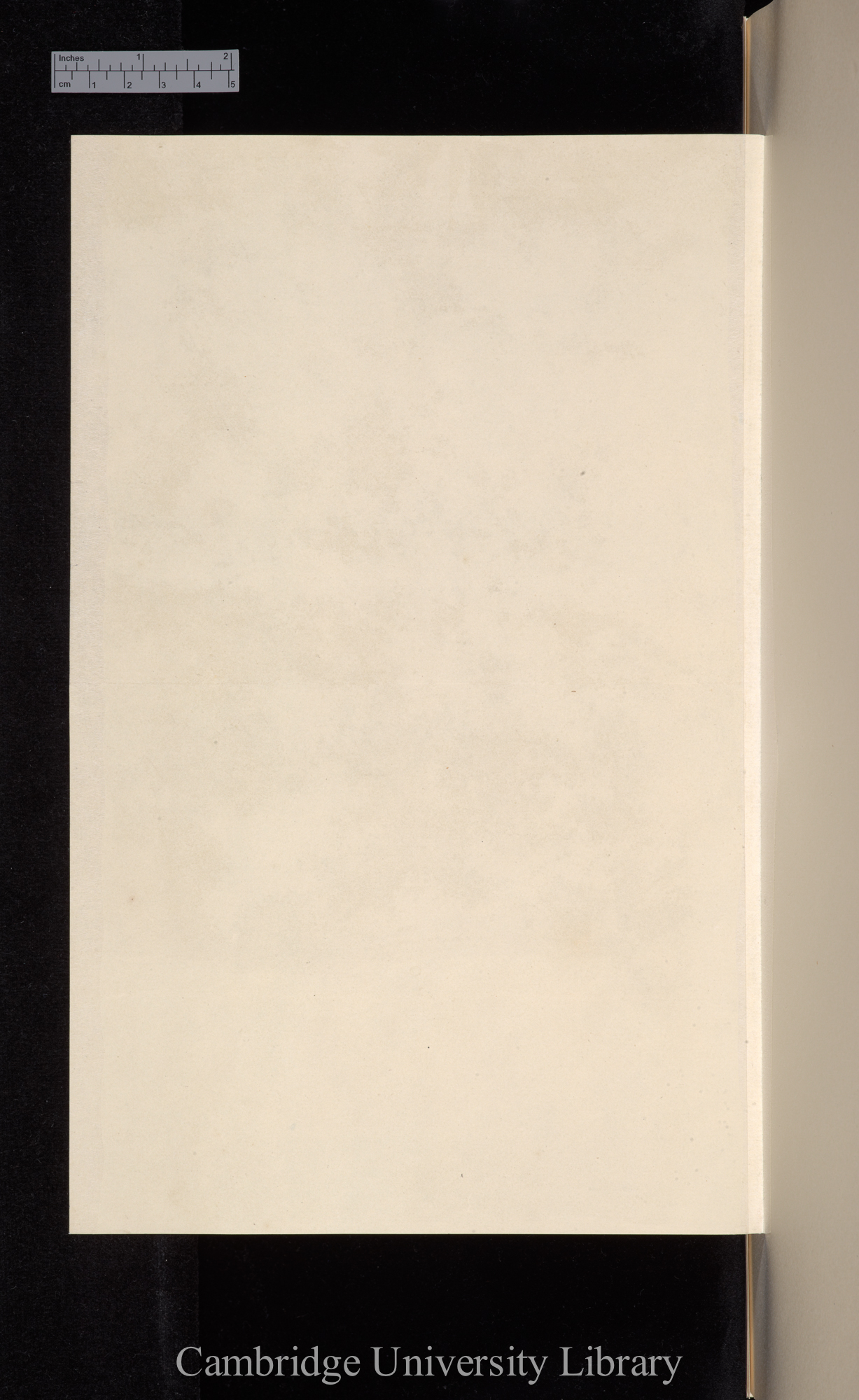 Blank verso of Ms p 10