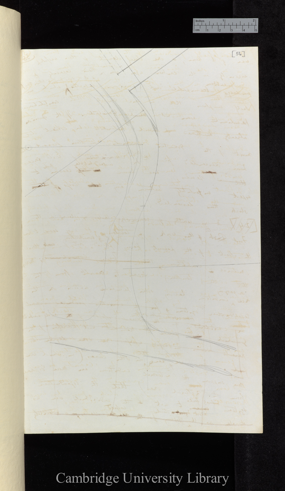 Drawing, reverse of Ms p 38