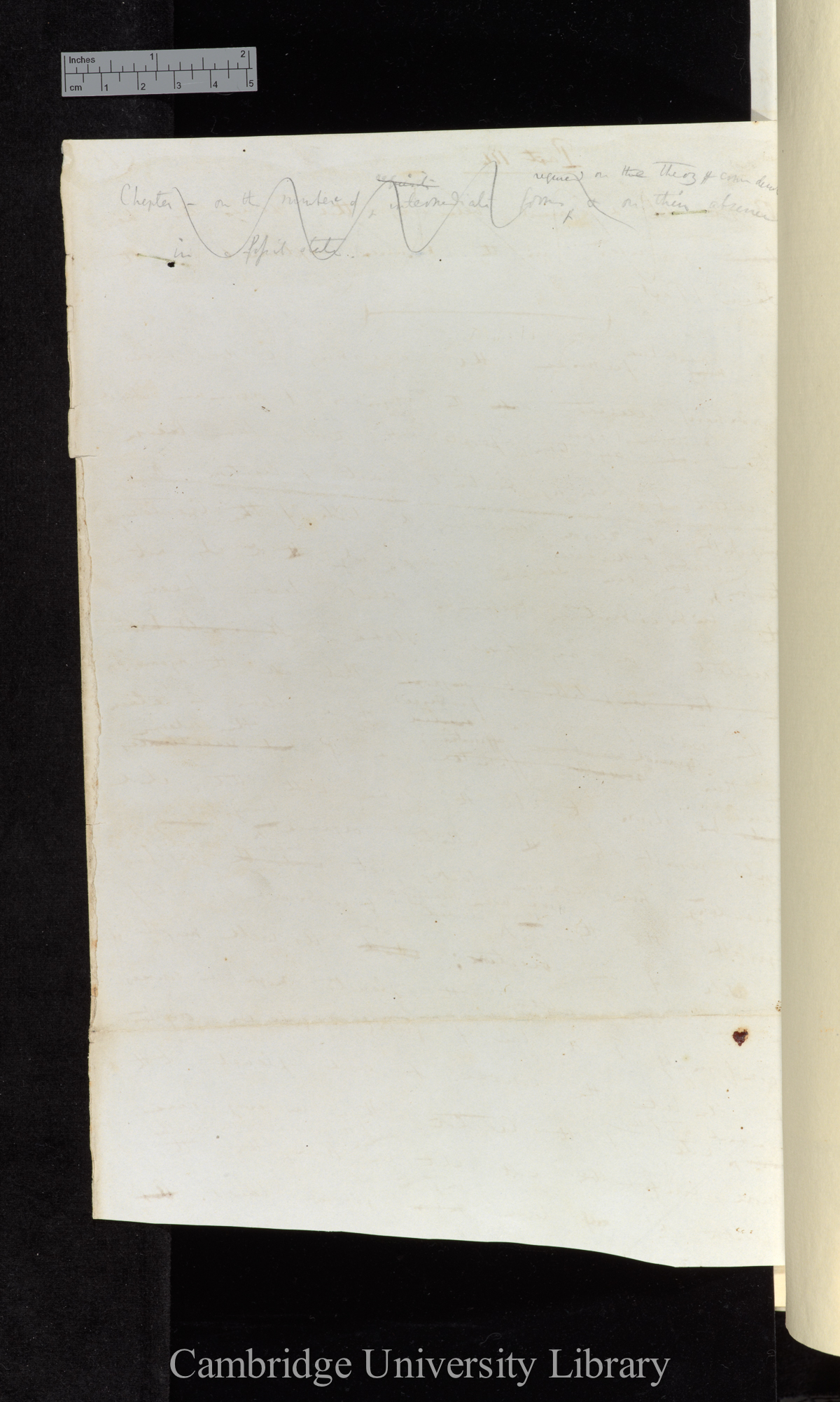 Deleted note, reverse of Ms p 65[b]