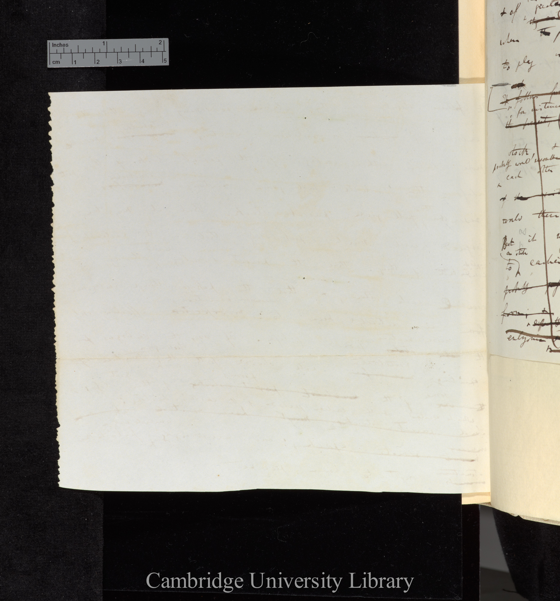 Blank page, reverse of insert to Ms p 163