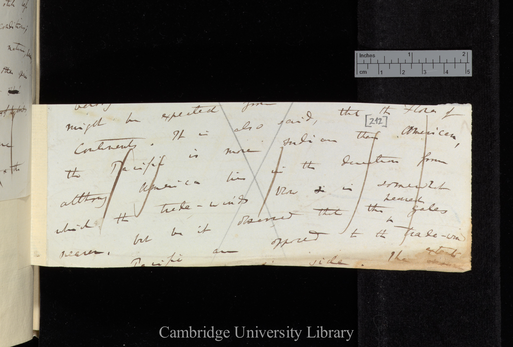 Rejected draft, reverse of insert attached to Ms p [174]