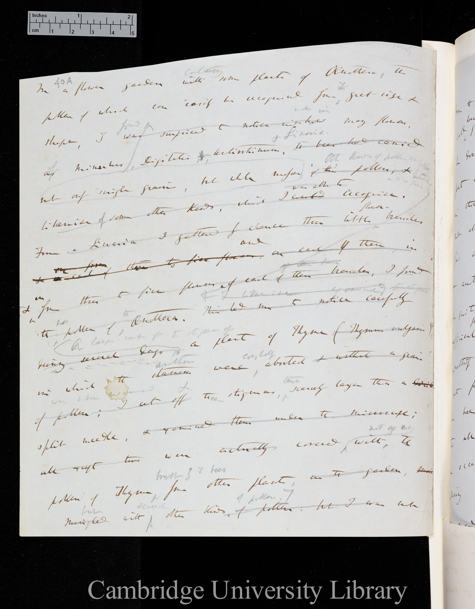 [Ms p 40], Stauffer pp 57