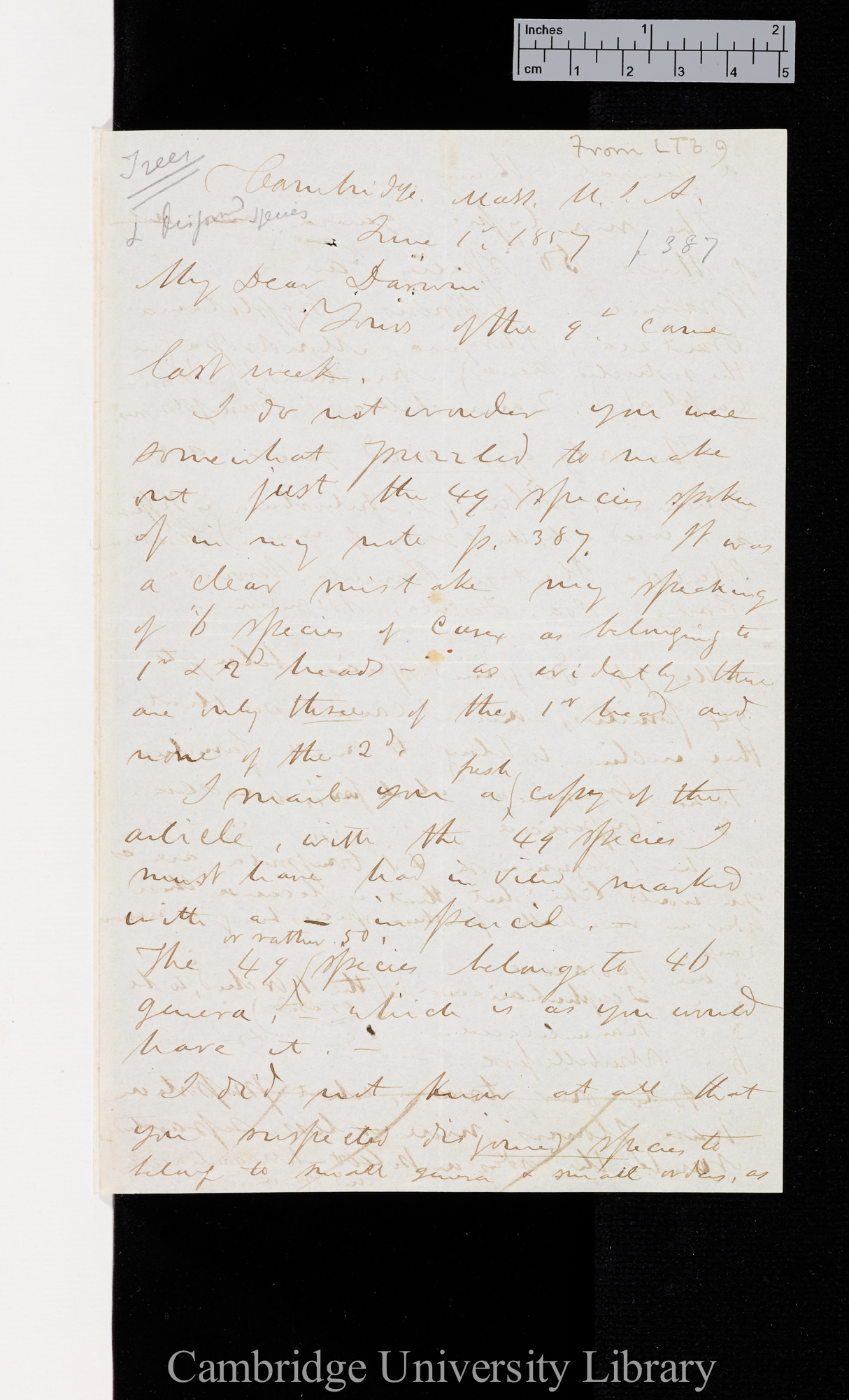 Asa Gray to Charles Robert Darwin