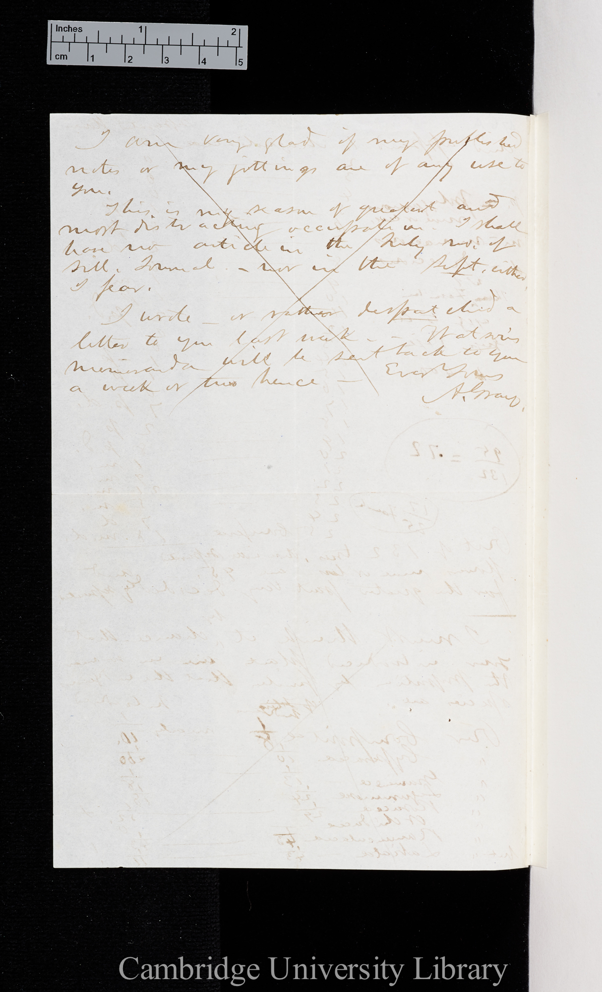 Asa Gray to Charles Robert Darwin