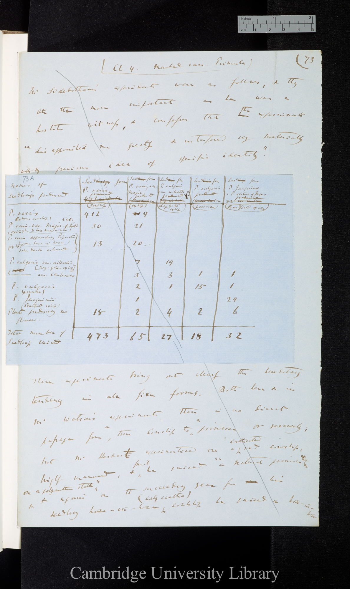 Ms p 73 (with insert [table])