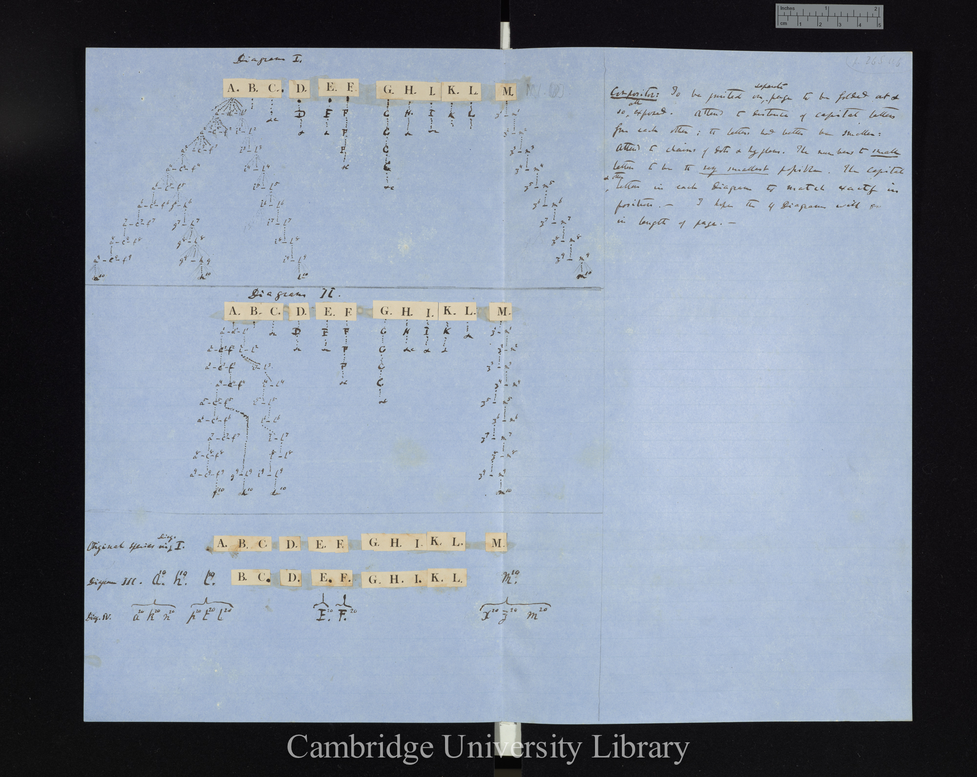 Tree Diagrams [I, II. III. IV]