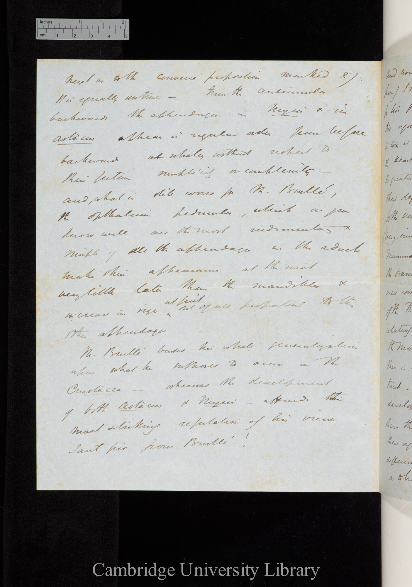 Thomas Henry Huxley to Charles Robert Darwin