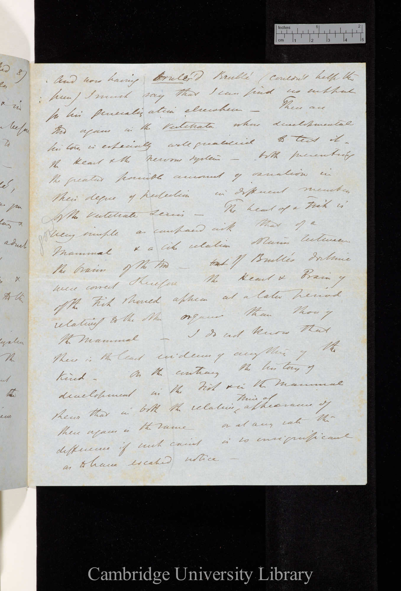 Thomas Henry Huxley to Charles Robert Darwin