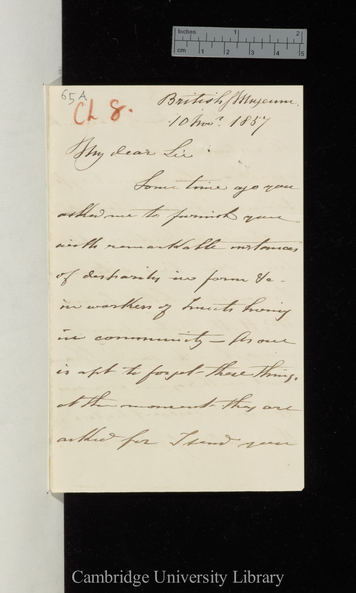 Frederick Smith to Charles Robert Darwin