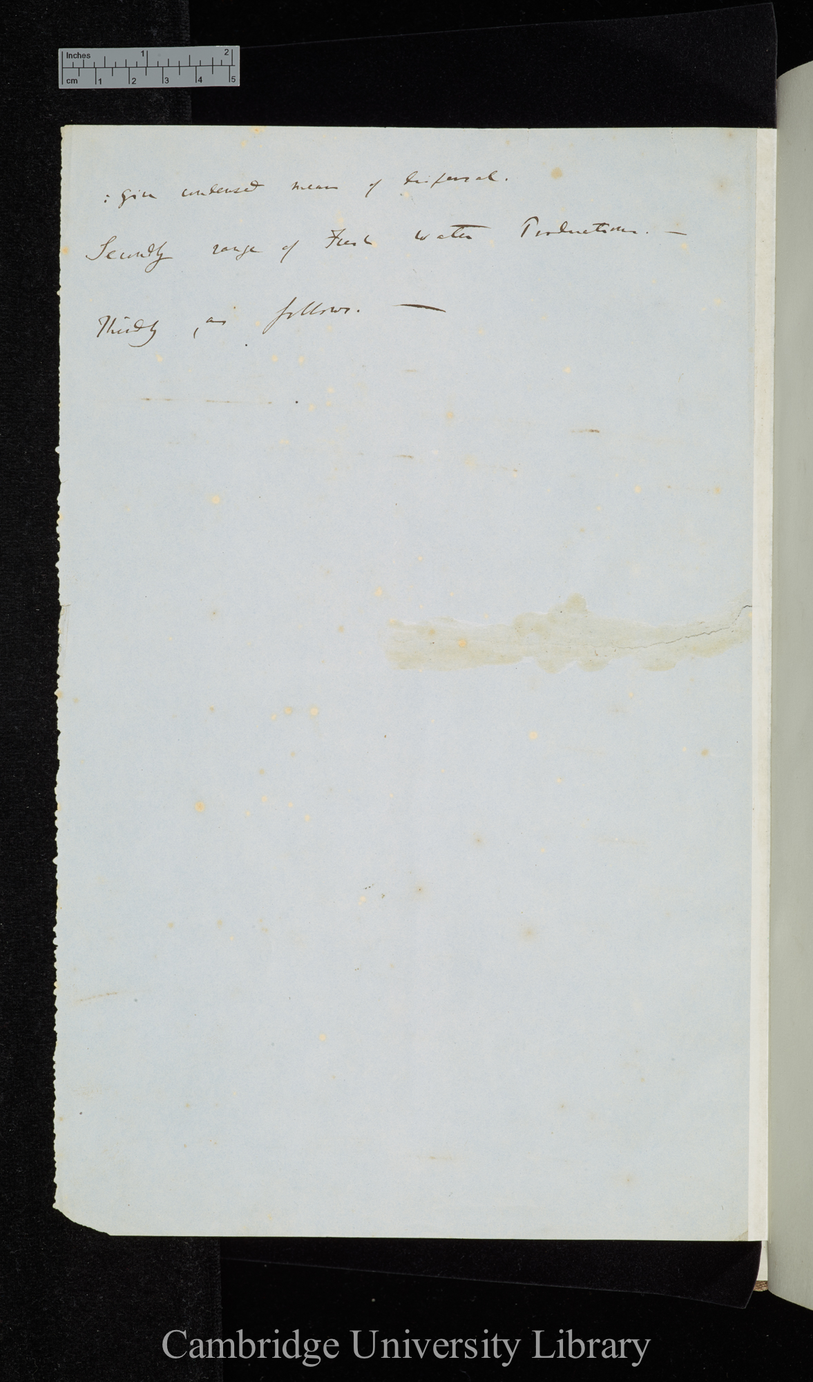 verso of Ms p 0