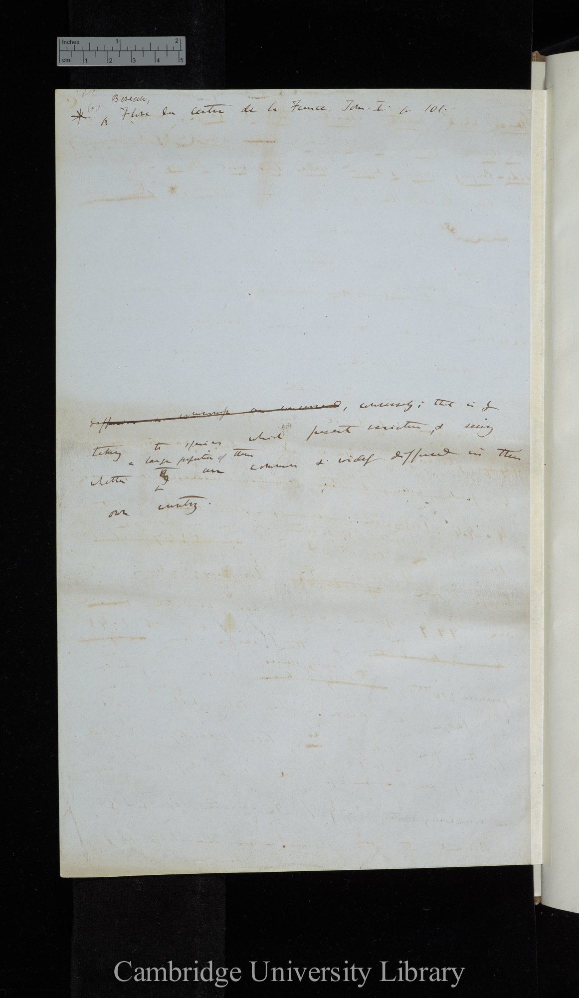 verso of Ms p 1