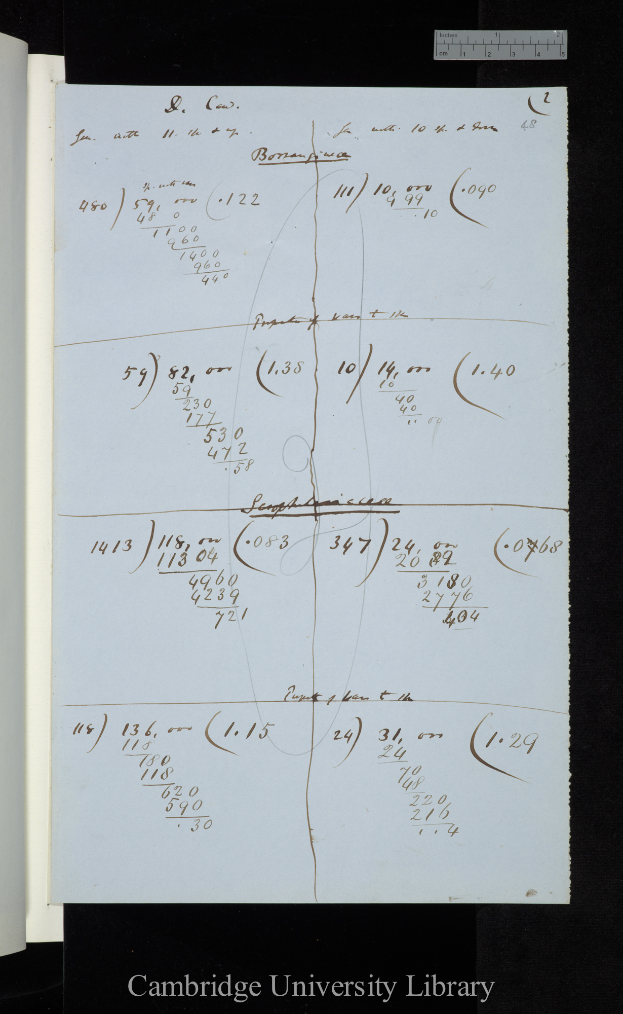 Decandolle / Genera with 11 &amp; up / Genera with 10 &amp; down (summarising calculations)