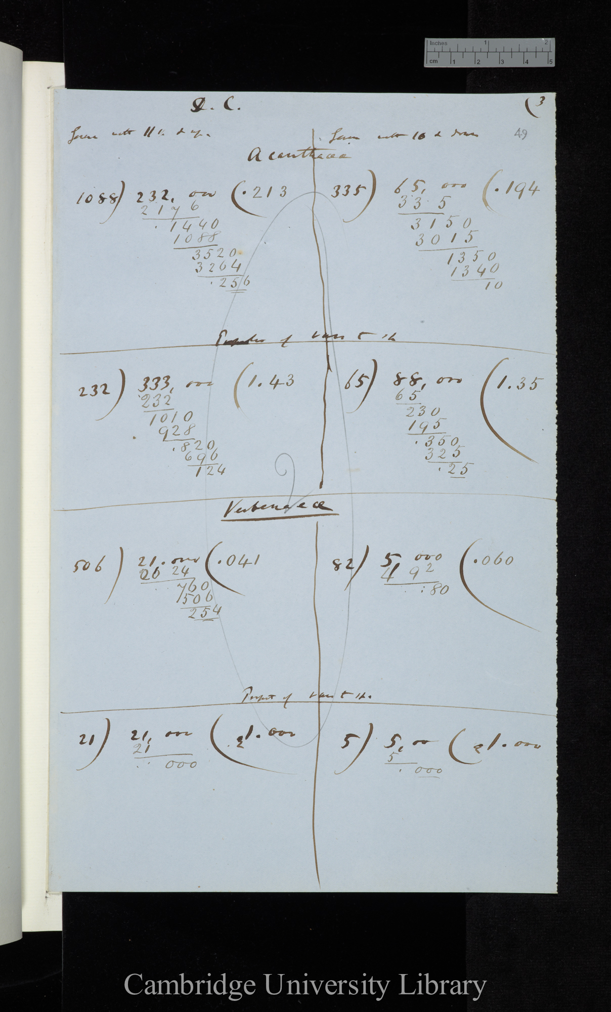 Decandolle / Genera with 11 &amp; up / Genera with 10 &amp; down (summarising calculations)