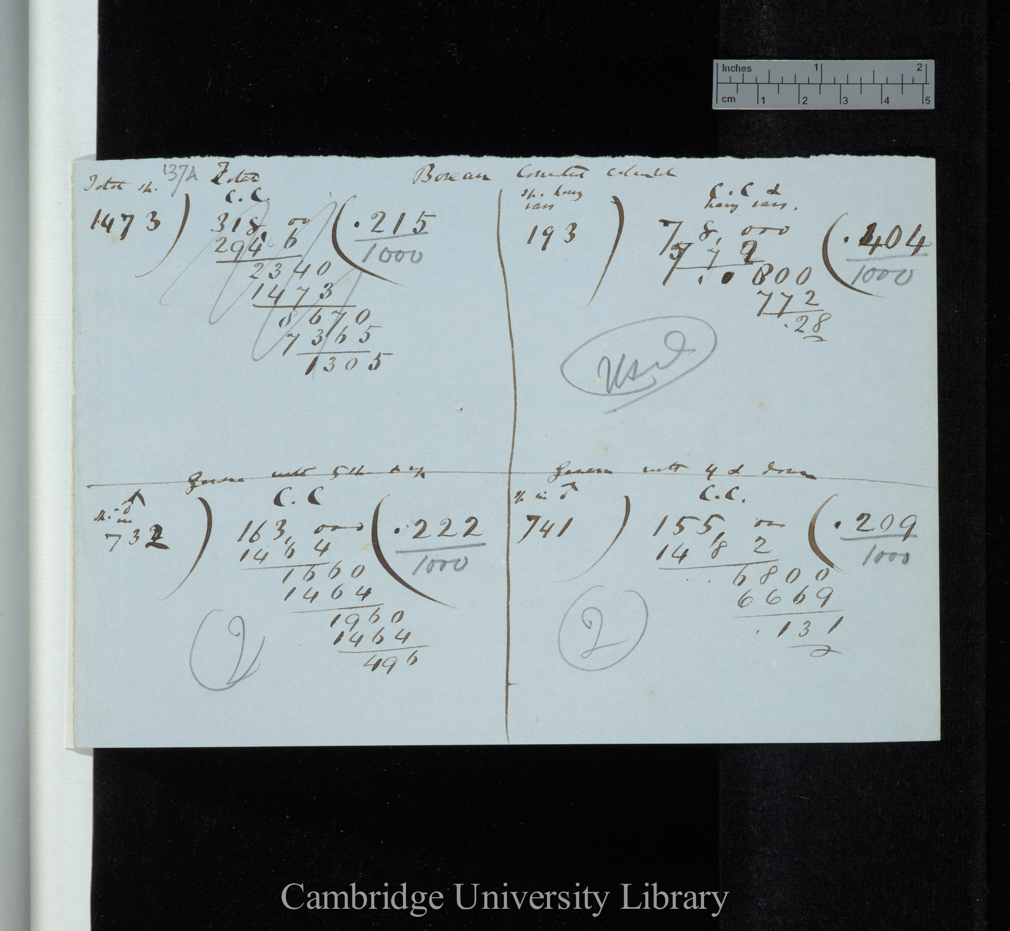 Boreau Corrected Calculation