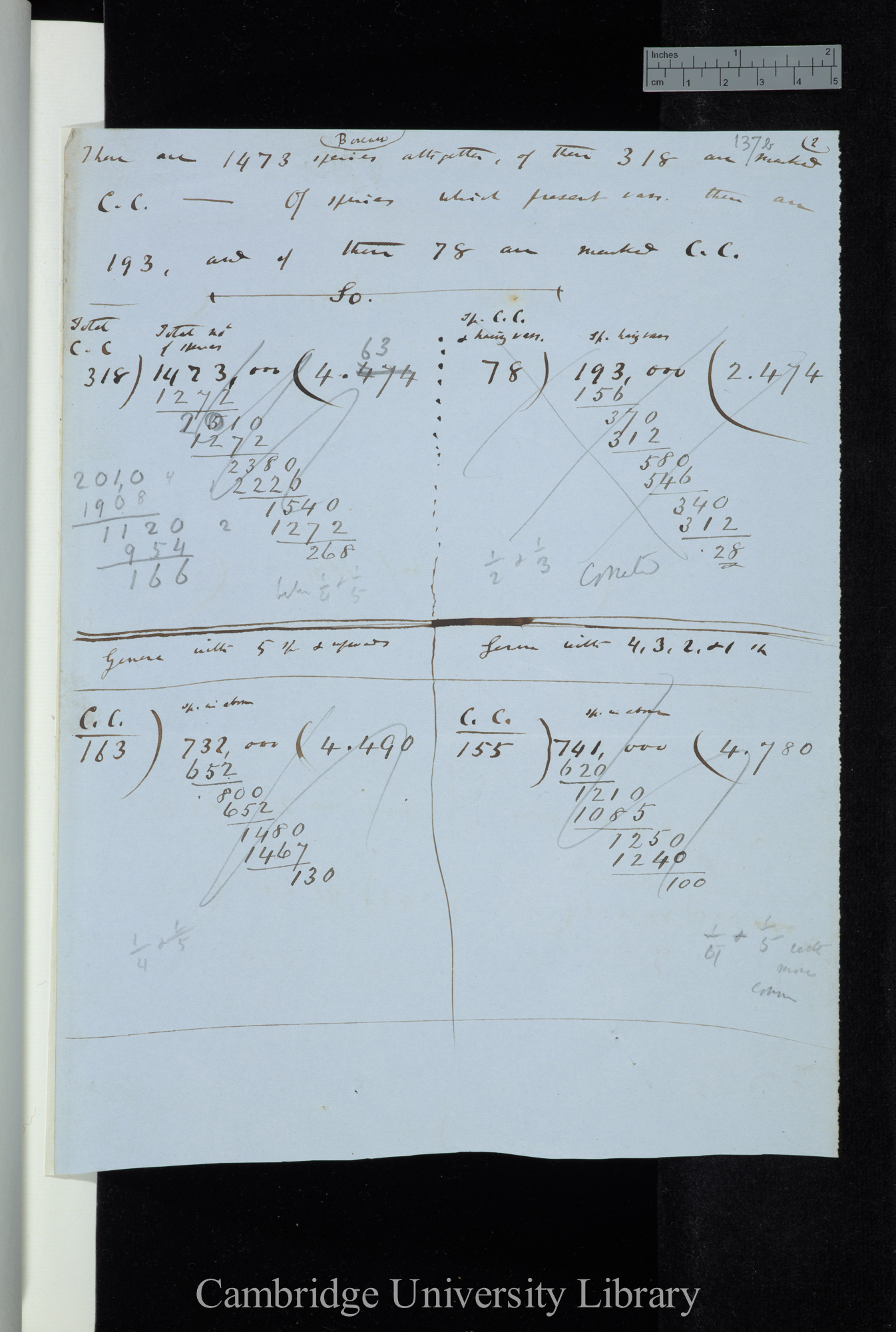 Boreau Corrected Calculation