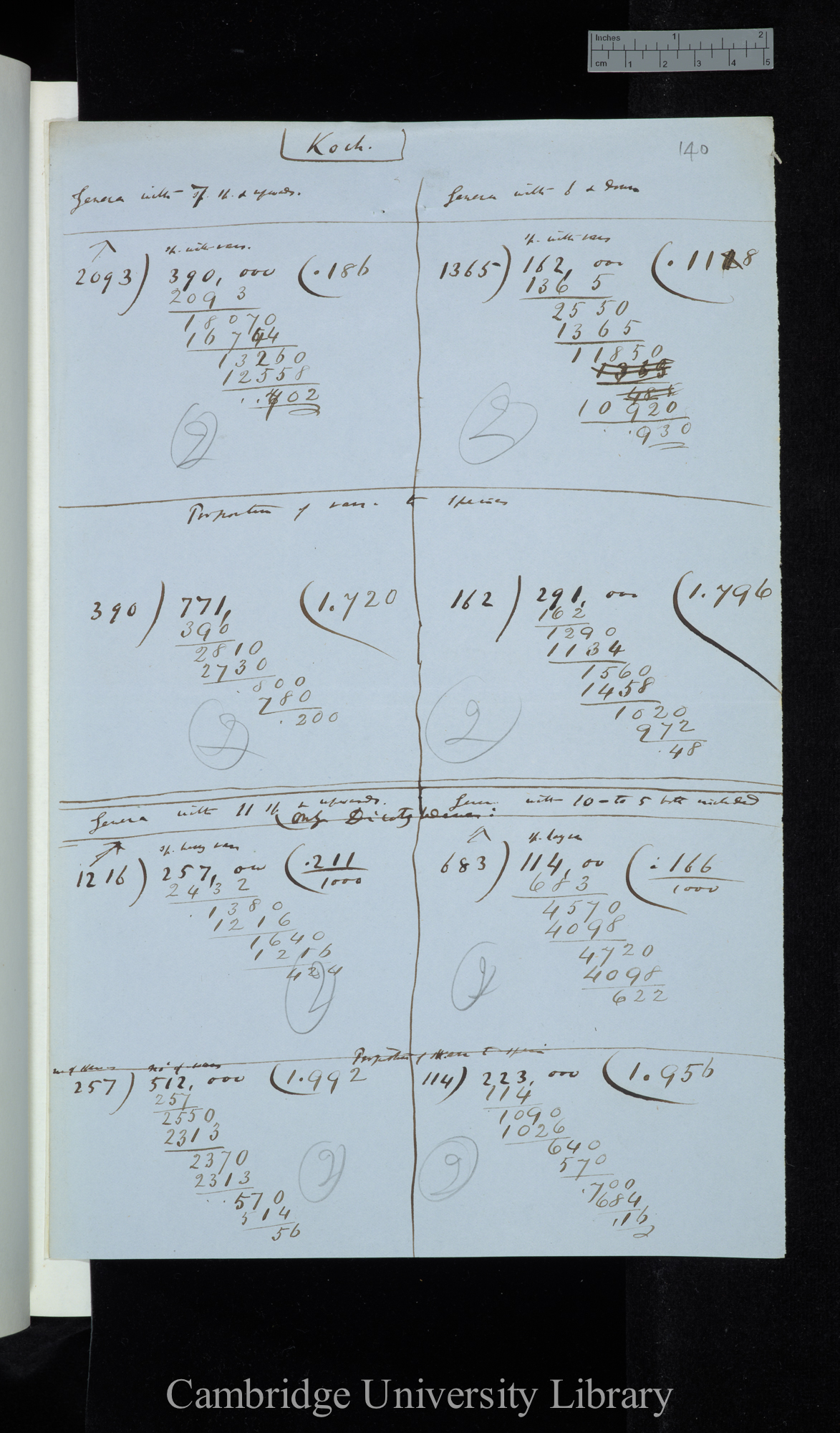 Koch / Genera with 7 sp[ecies] &amp; upwards / Genera with 6 &amp; down (calculations)