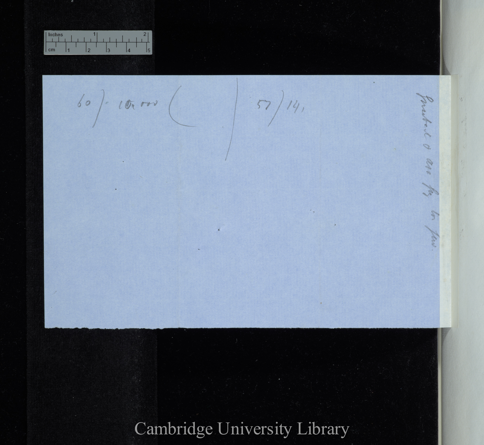 Grisebark [ie Grisebach] Labiatae / [Genera with] 6 sp &amp; up / Genera with 5 &amp; down (table and calculation)