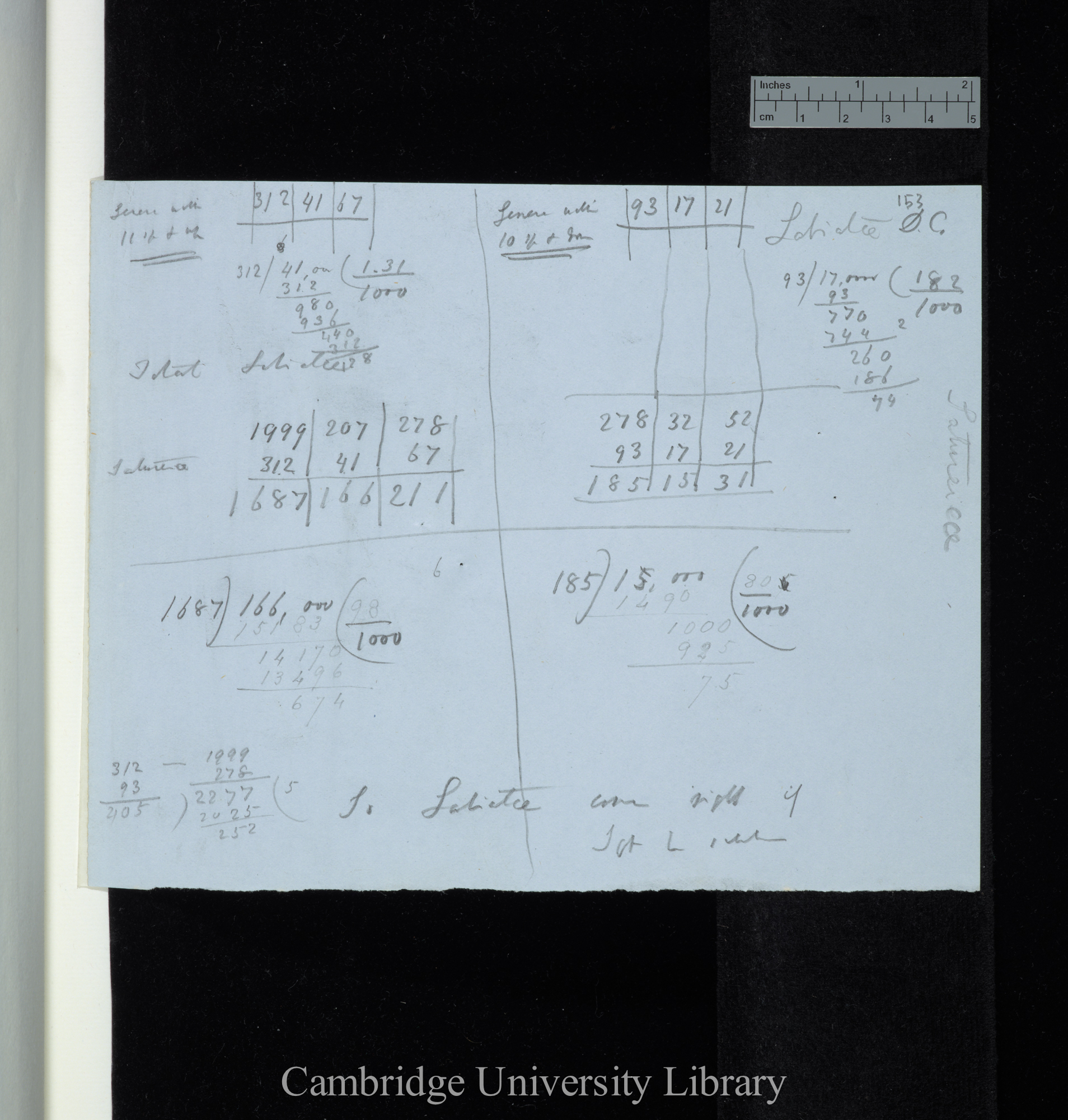 Genera with 11 sp &amp; up / Genera with 10 sp &amp; down / Labiatae D C [ie Candolle] (calculations)