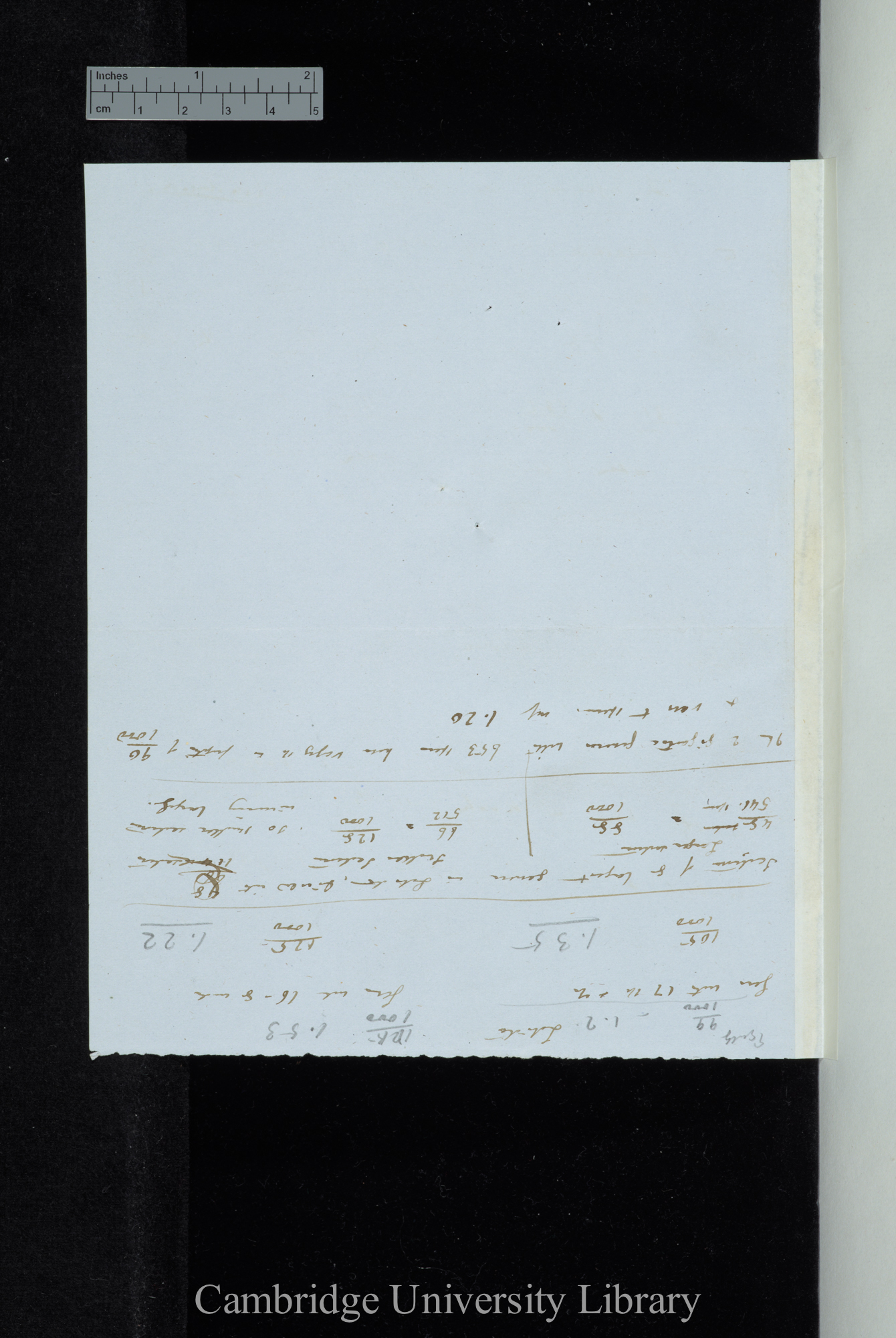 Discussion on Labiatae: Conclusion / If the Saturneae[?] (with only 405 sp[ecies] being below 1/5 &amp; 1/6 of order) be removed