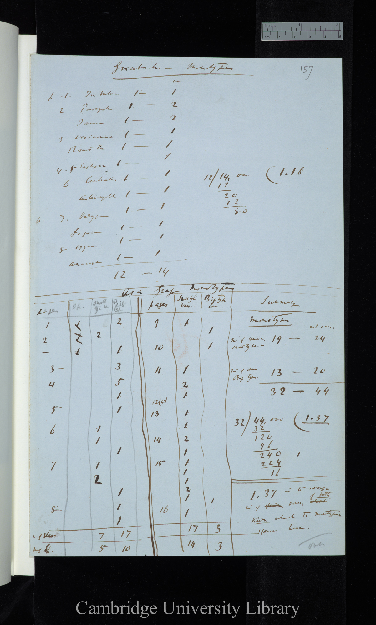 Grisebach - Monotypes (list) / Asa Gray Monotypes (table)