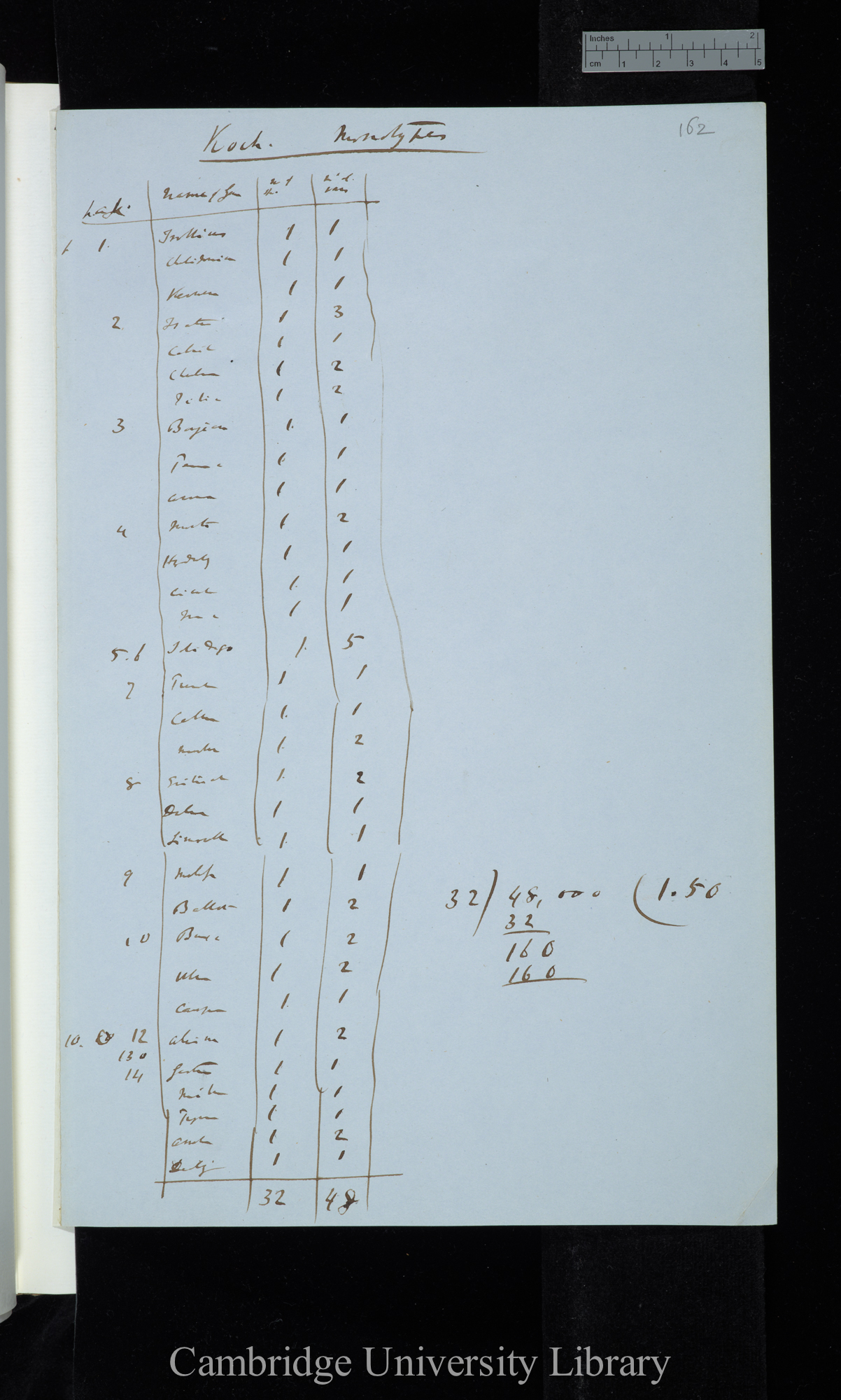 Koch Monotypes (table and calculation)