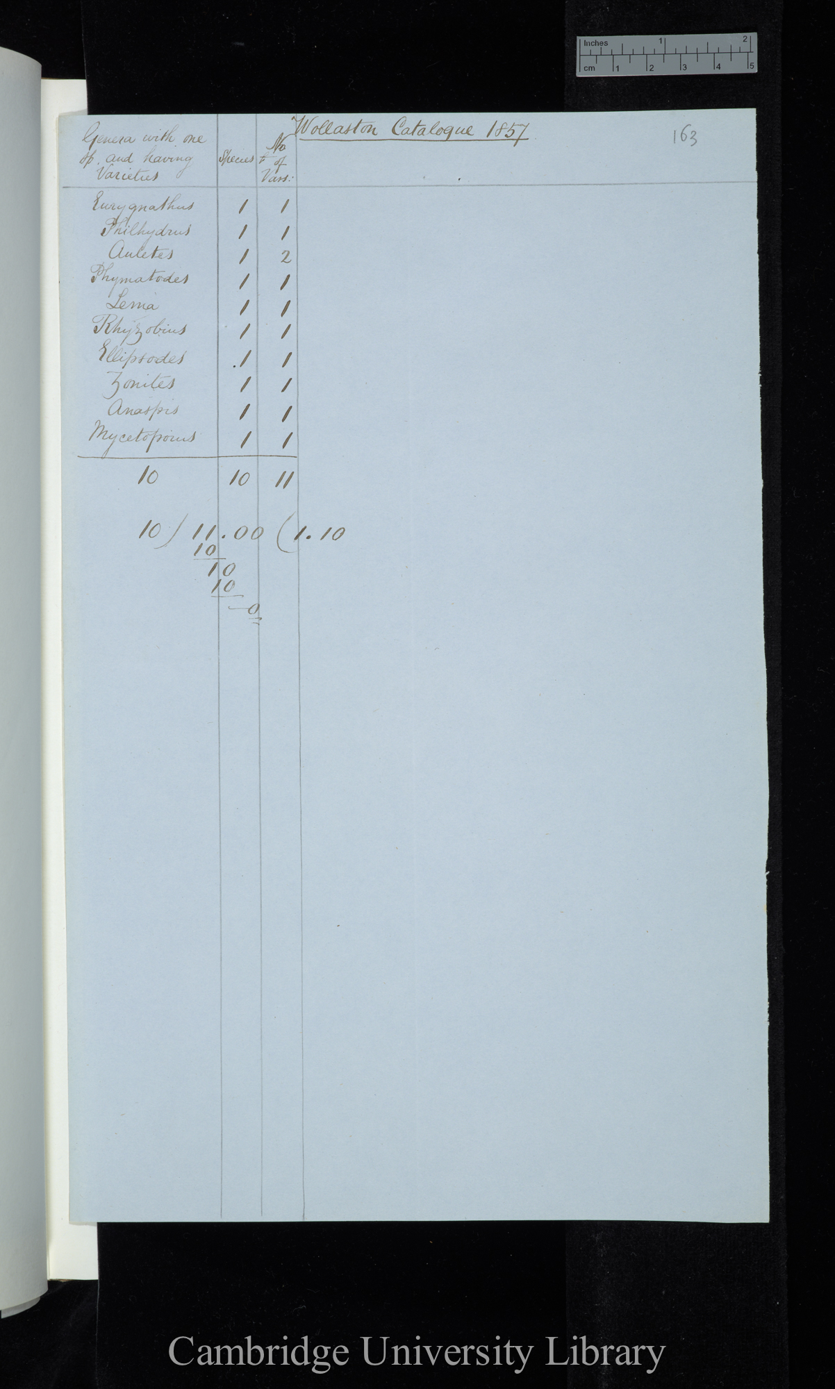 Wollaston Catalogue 1857 / Genera with one sp[ecies] and having varieties (table)