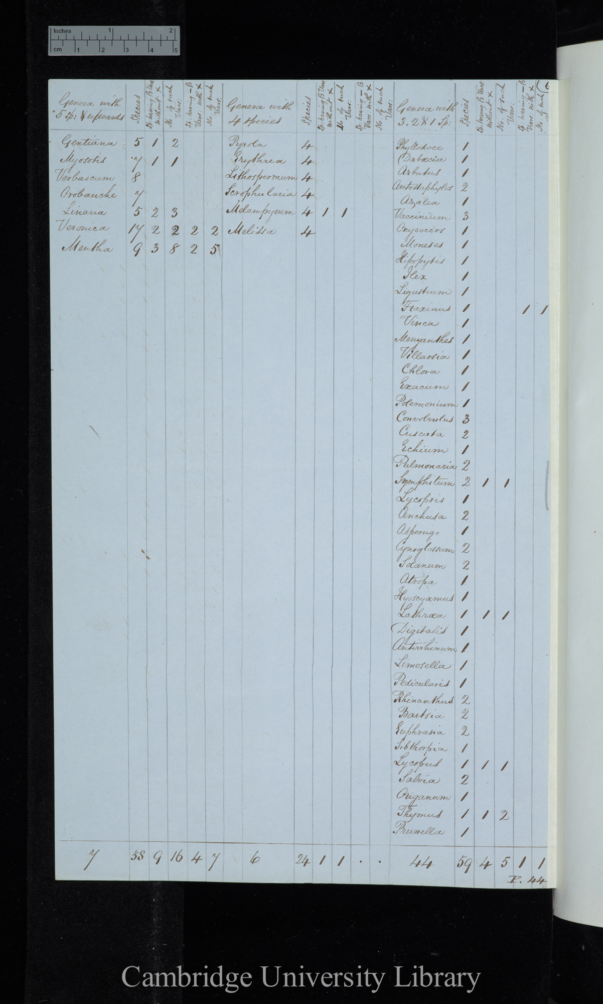 Henslows List / Genera with 5 sp[ecies] &amp; upwards / genera with 4 species / genera with 3 2 &amp; 1 species (table)