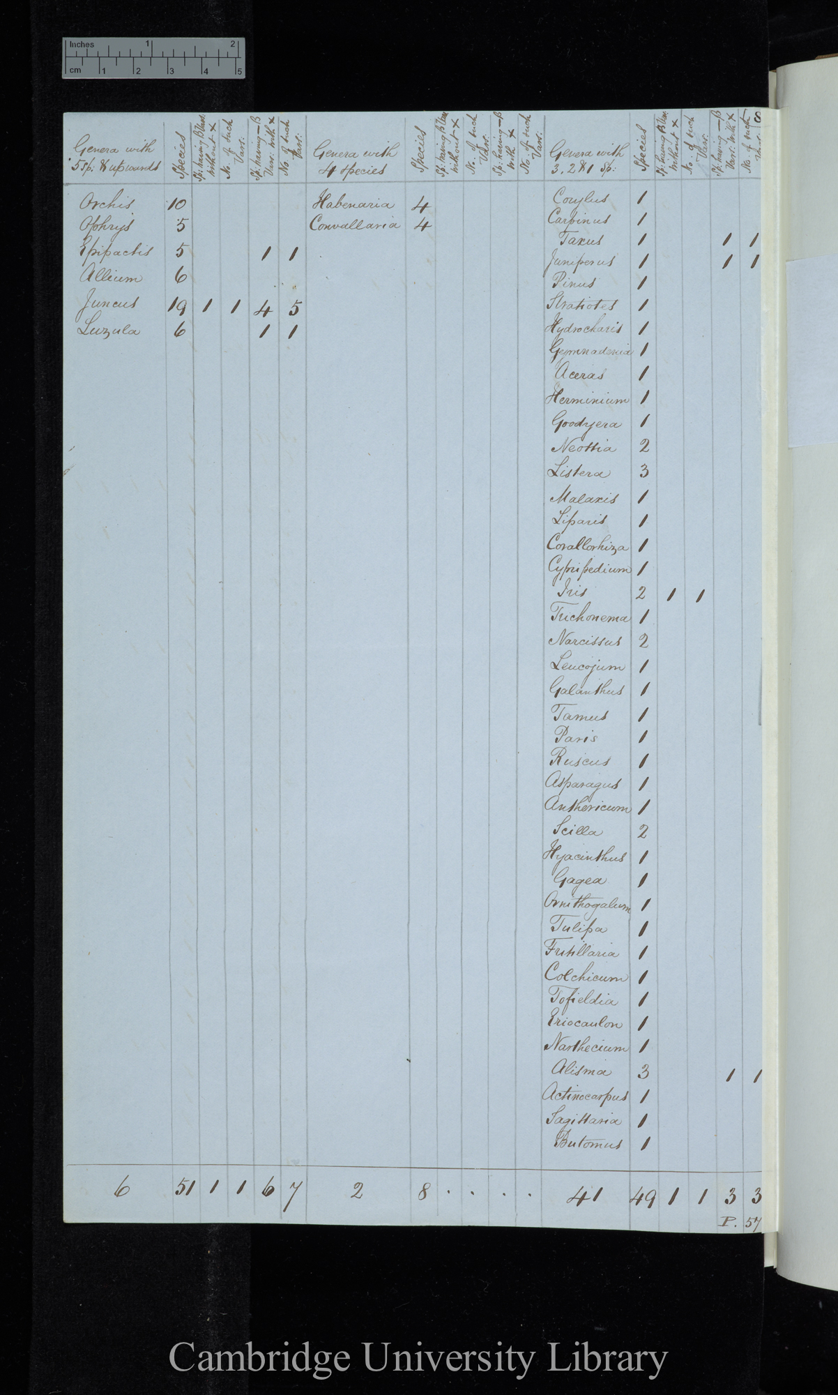 Henslows List / Genera with 5 sp[ecies] &amp; upwards / genera with 4 species / genera with 3 2 &amp; 1 species (table)