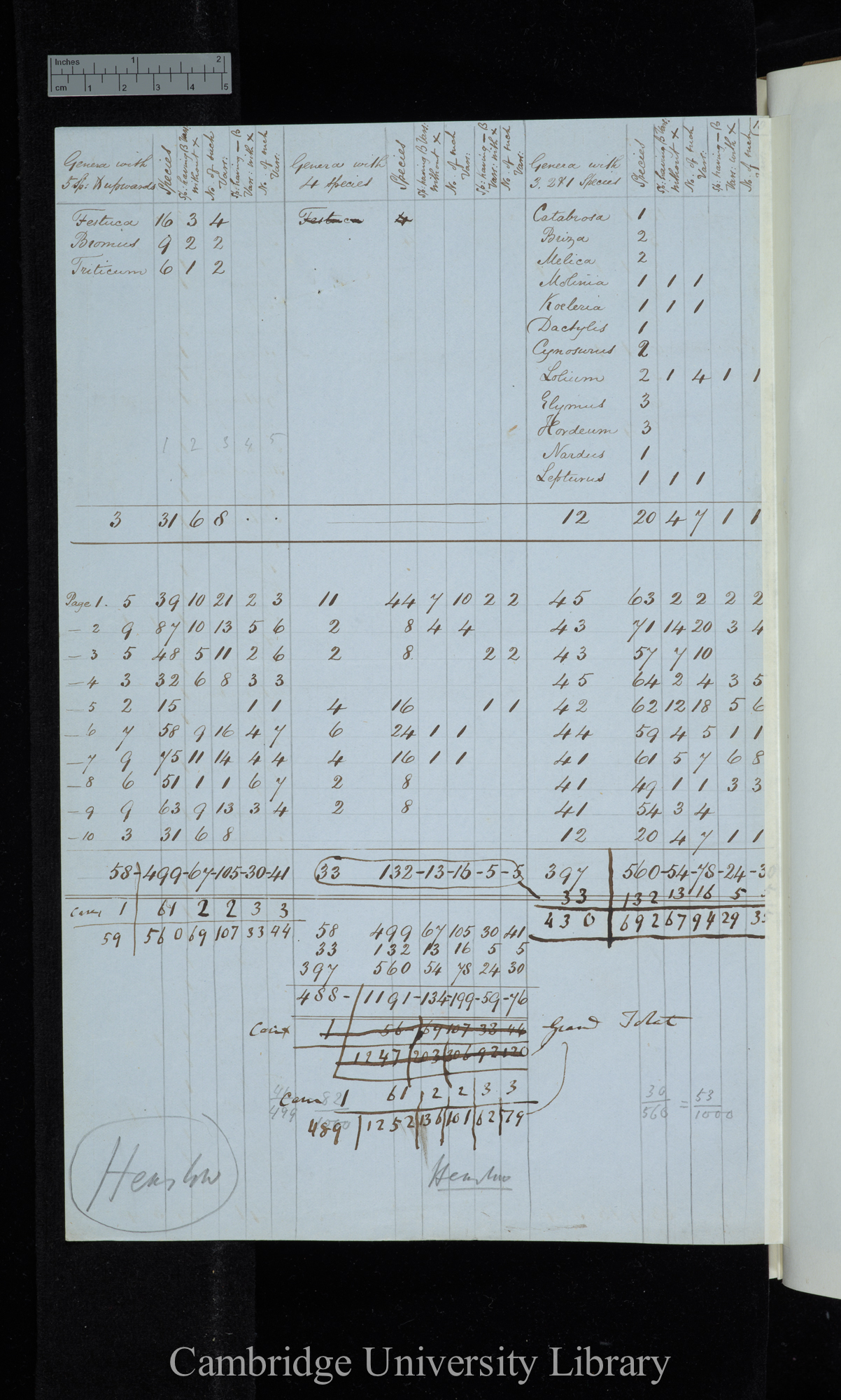 Henslows List / Genera with 5 sp[ecies] &amp; upwards / genera with 4 species / genera with 3 2 &amp; 1 species (table)