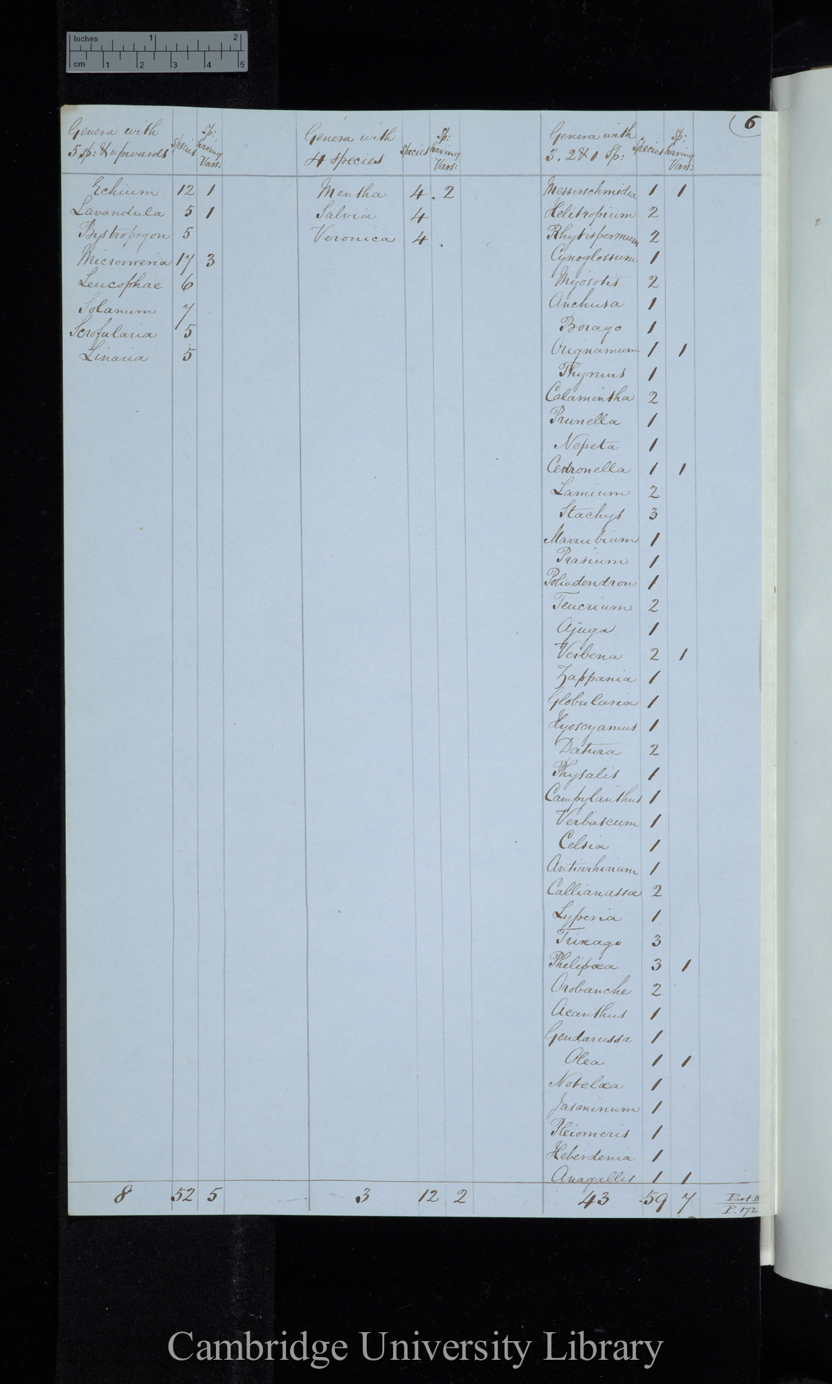 Webb &amp; Berthelot Canary Islands / Genera with 5 sp[ecies] &amp; upwards / genera with 4 species / genera with 3 2 &amp; 1 species (table)