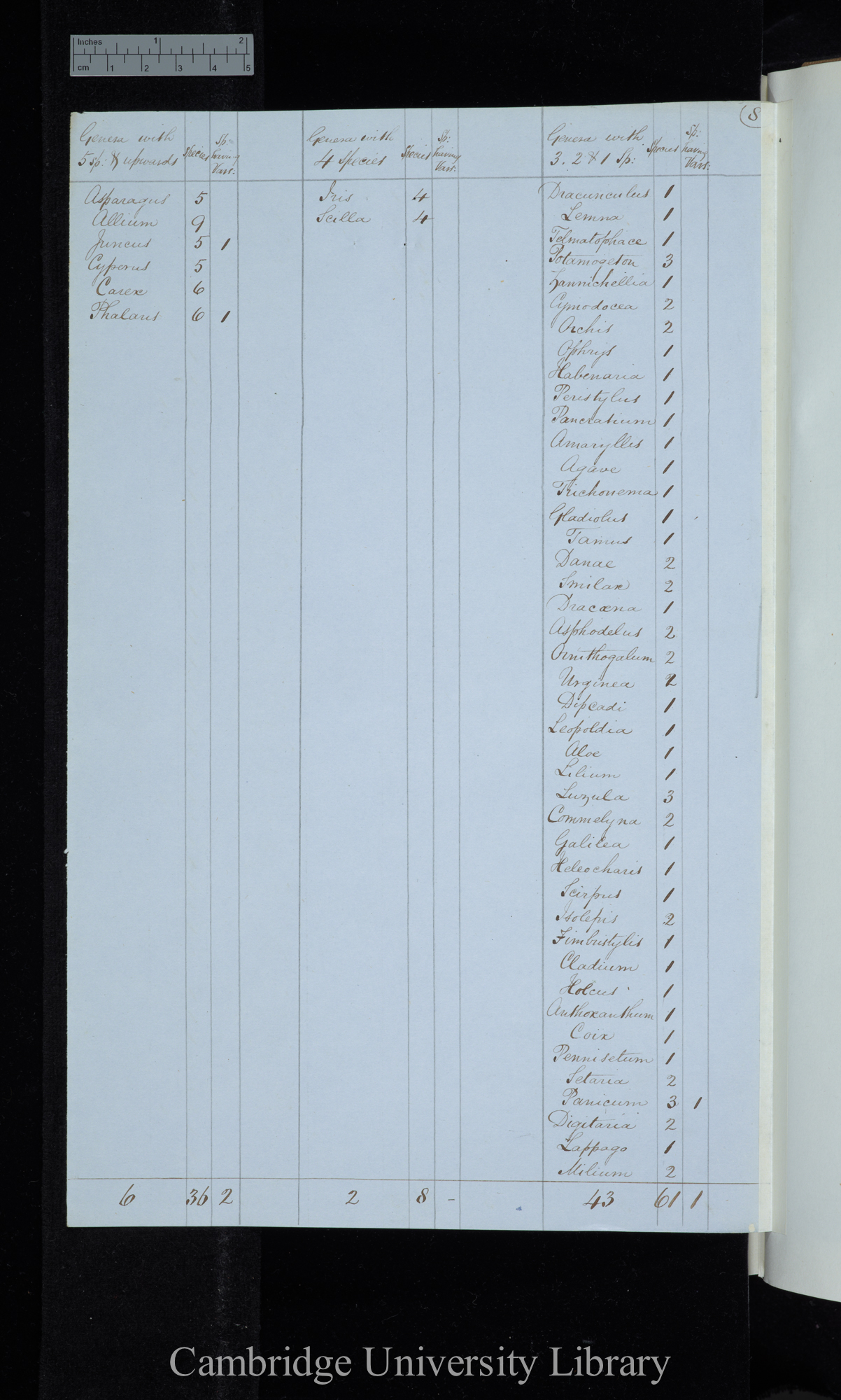 Webb &amp; Berthelot Canary Islands / Genera with 5 sp[ecies] &amp; upwards / genera with 4 species / genera with 3 2 &amp; 1 species (table)