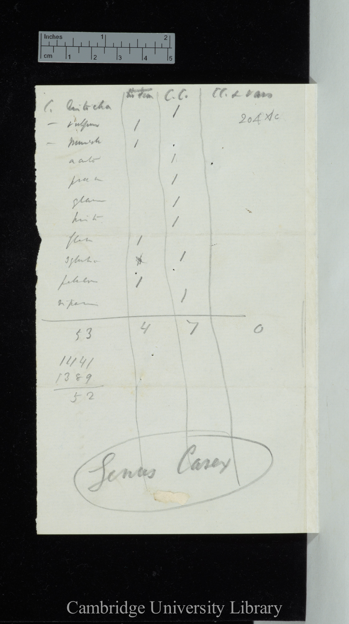 Genus Carex (table of common species and varieties)