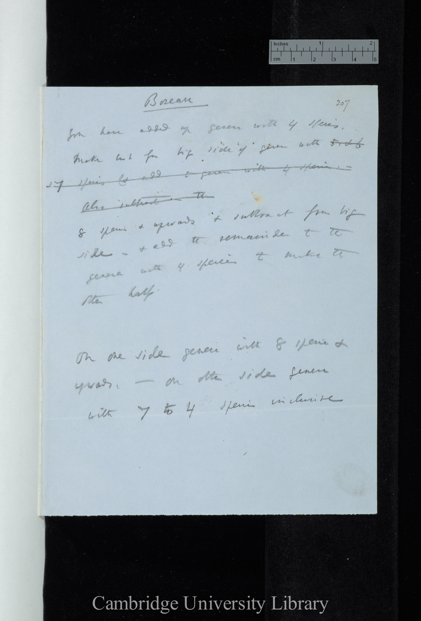 Boreau / [Instructions for Mr Norman?] / You have added up genera with 4 species Make list for big side of genera with 8 species &amp; upwards &amp; subtract from big side